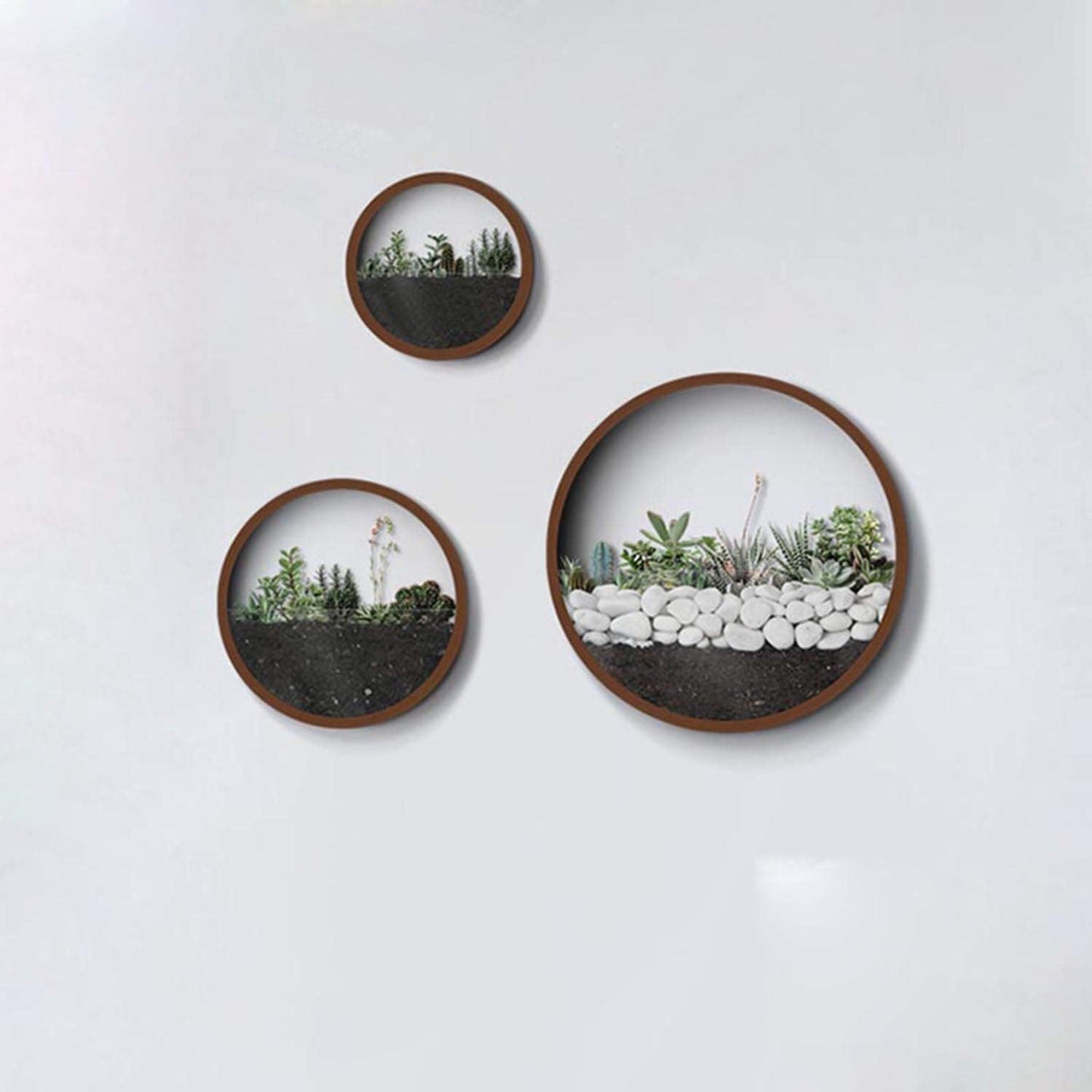 Modern Round Glass Wall Planters for Indoor and Outdoor Decor