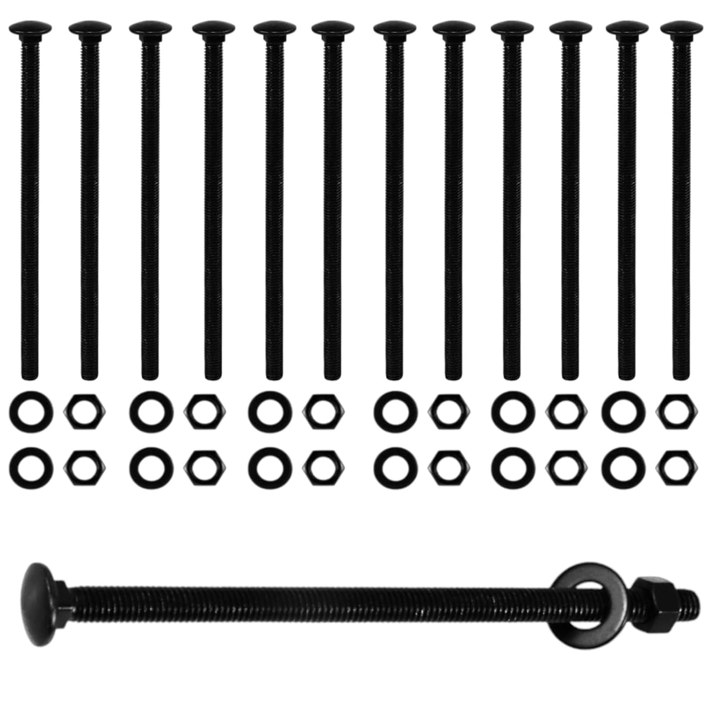 1/2 x 10 Inch Carriage Bolts Kit for Heavy-Duty Projects