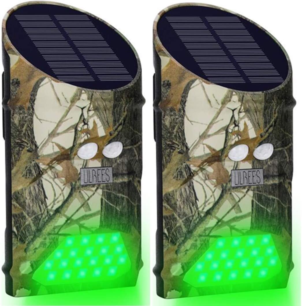 Solar Powered Hog Feeder Light by Lilbees for Night Hunting