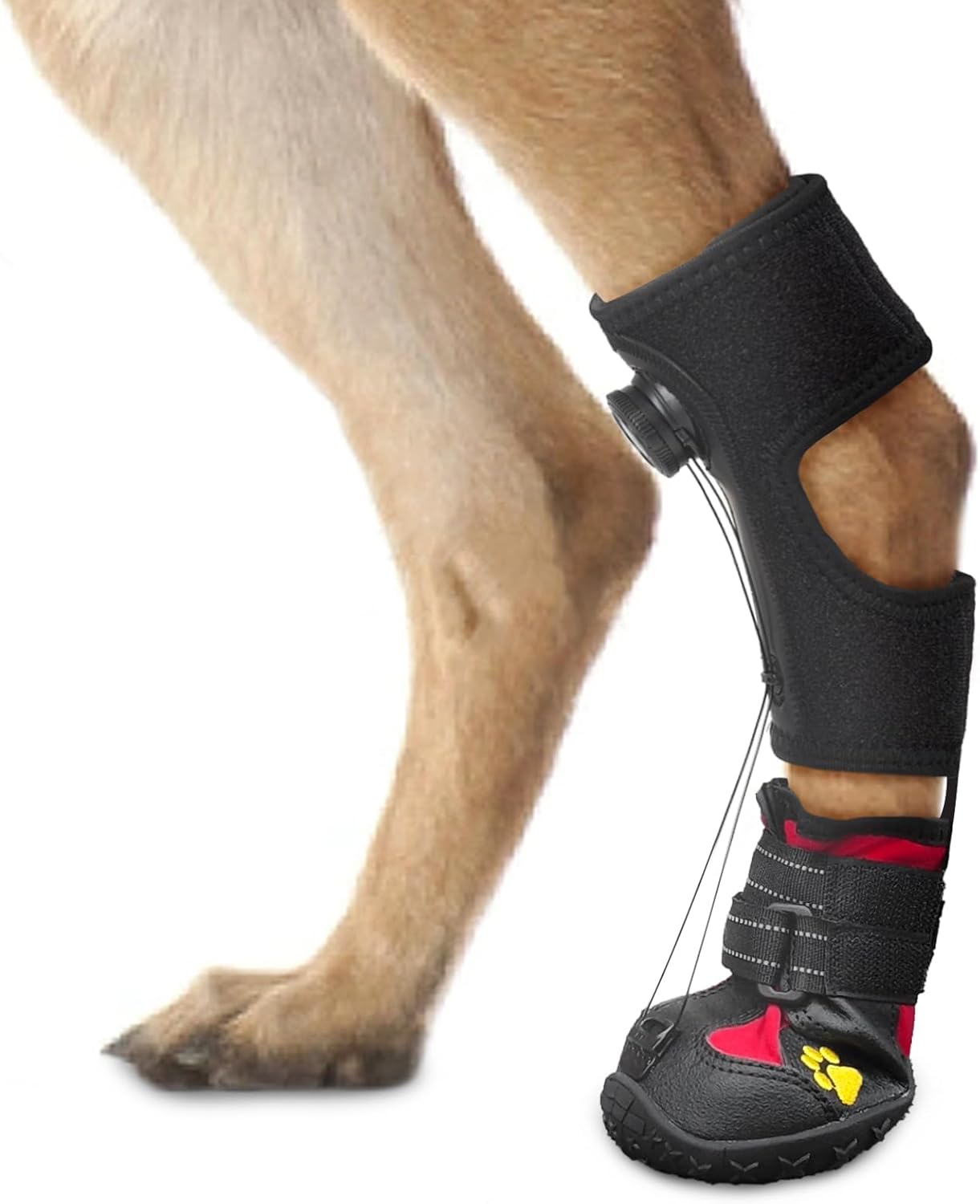 Drop Foot Brace for Dogs - Corrective Shoes for Gait Issues