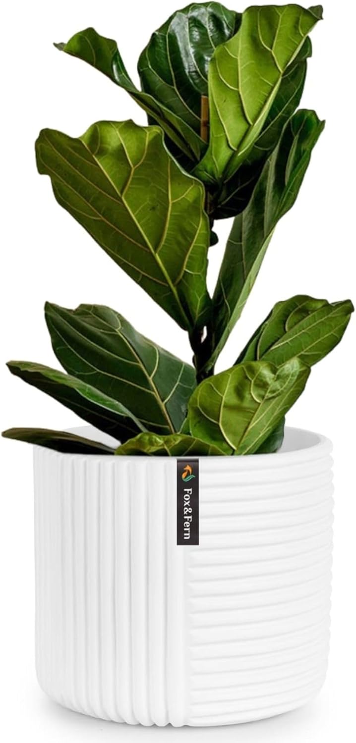 Large 12 Inch Planter with Drainage Plug for Indoor & Outdoor Use