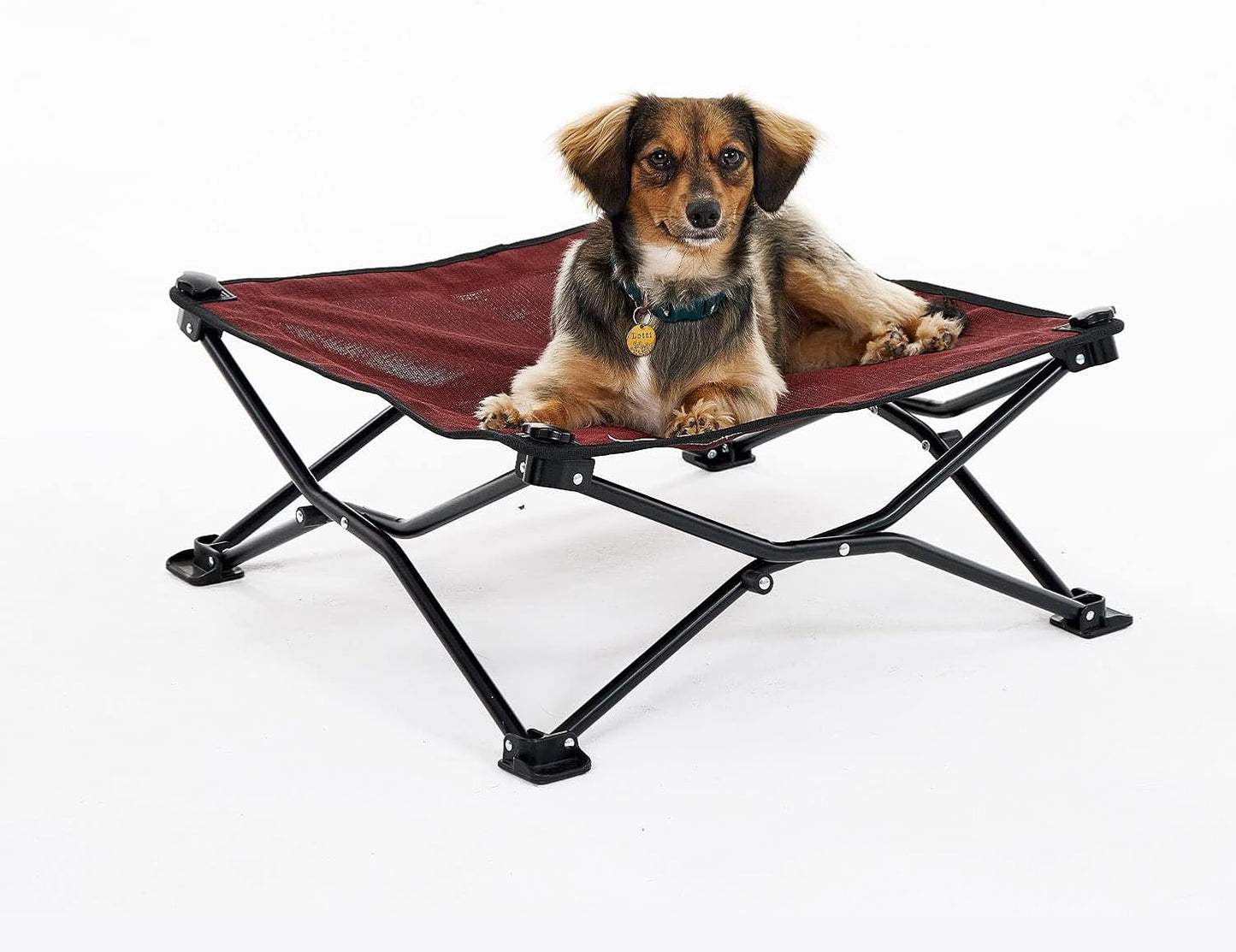 Coolaroo On-The-Go Elevated Dog Bed for Travel Adventures