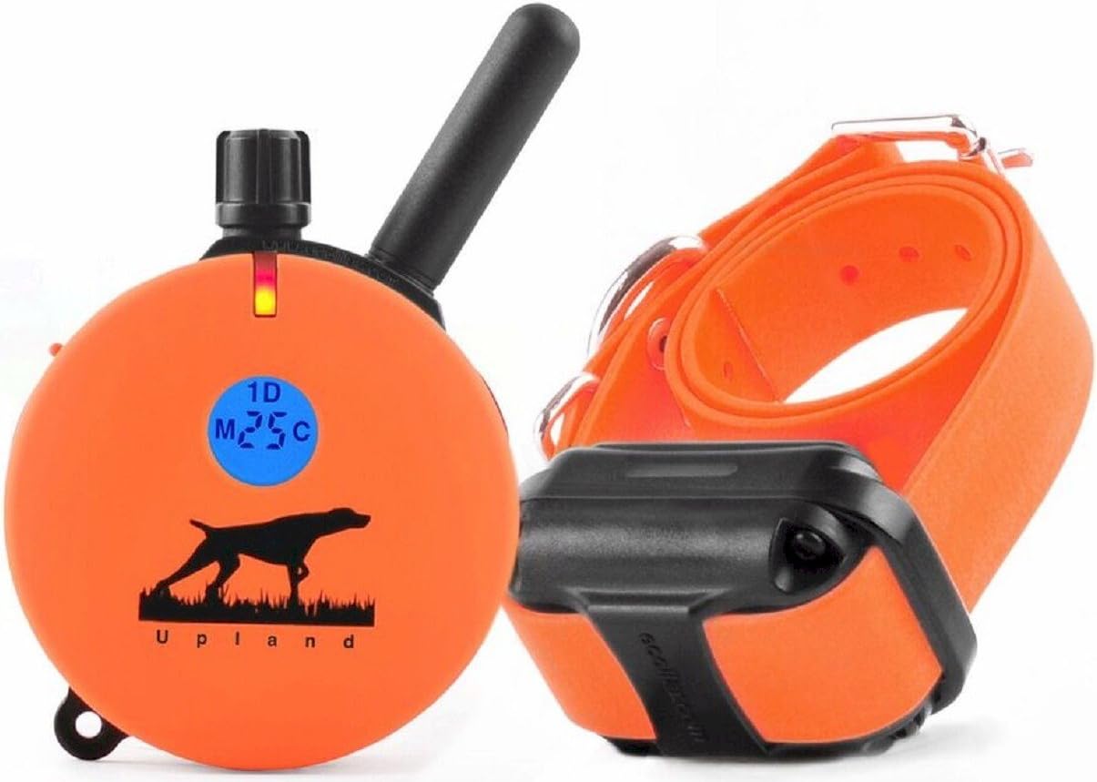 Educator E-Collar Dog Training Collar with Remote and Night Light