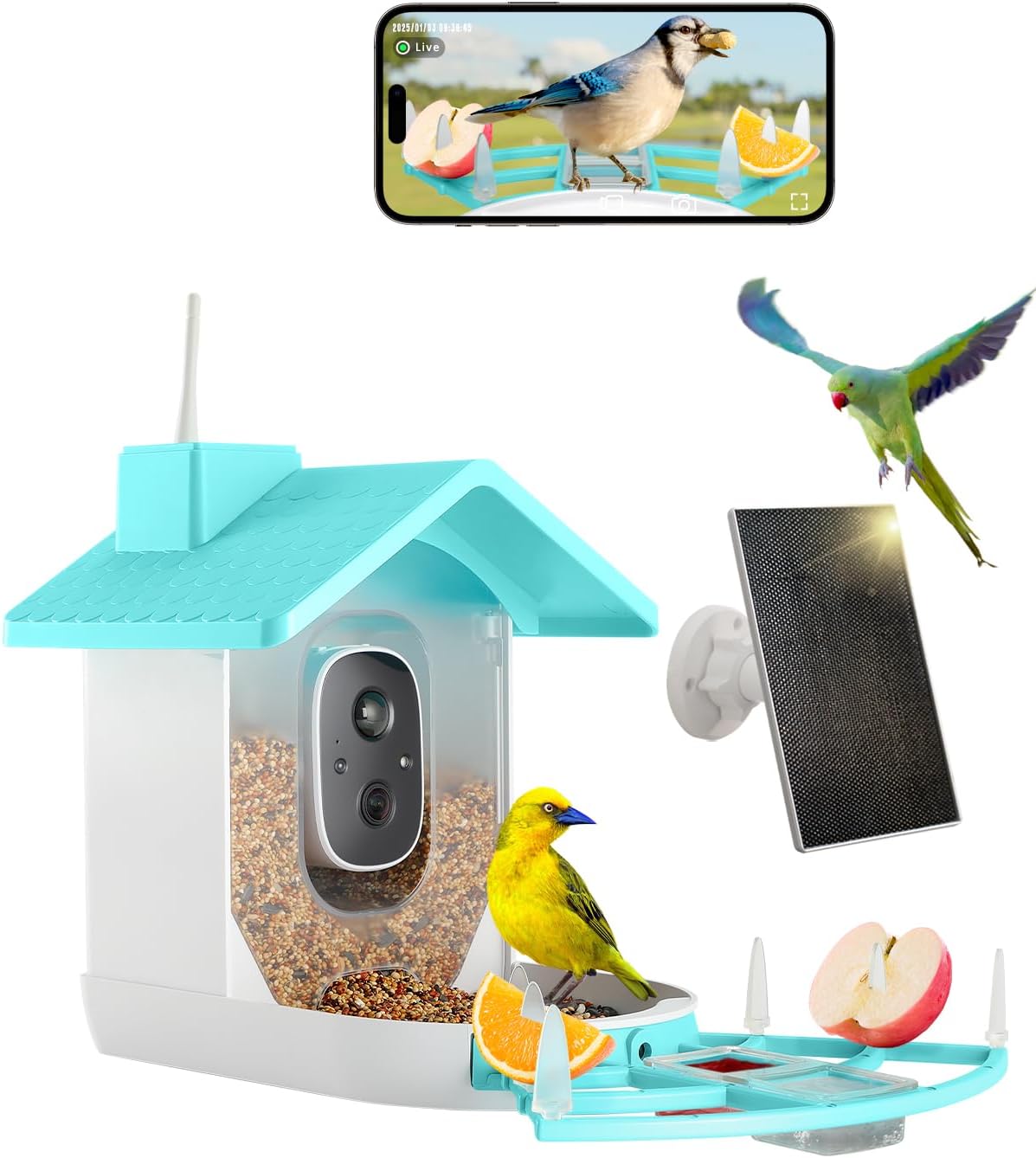 XimaoEase Smart Bird Feeder: 1080P HD Video, Instant Alerts, Solar Panel