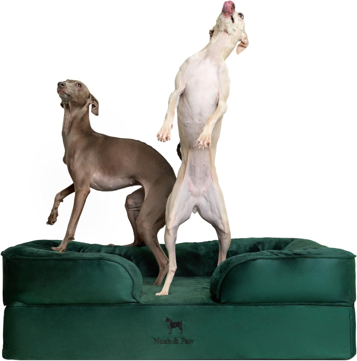 Orthopedic Dog Bed with Cooling Gel for Large Breeds