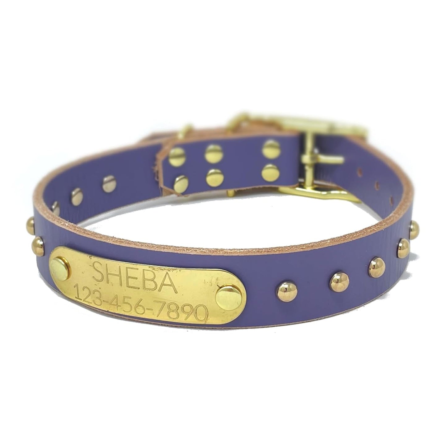 Handmade Studded Bridle Leather Dog Collar with Brass Nameplate
