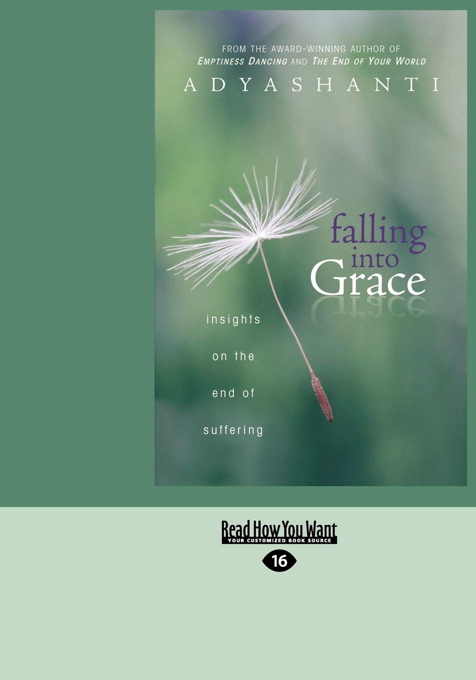 Falling into Grace by Adyashanti - A Journey of Self-Discovery