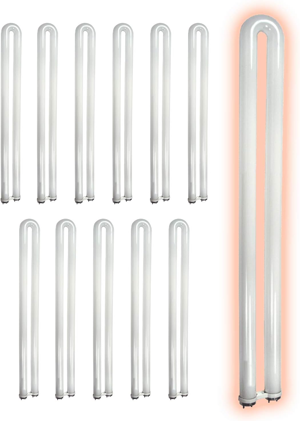 High Output 31 Watt T8 Fluorescent U-Bend Light Bulbs Pack