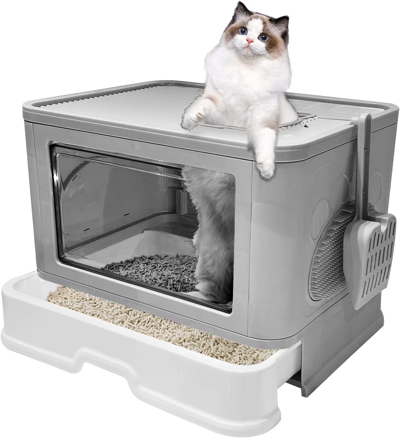 Foldable Box Enclosed Potty for Cats with Easy Clean Design