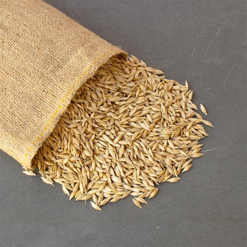 Unhulled Organic Einkorn Grain Seeds for Planting & Sprouting