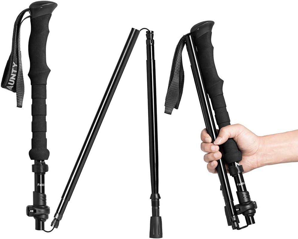 Compact Folding Hiking Pole for Mobility and Support