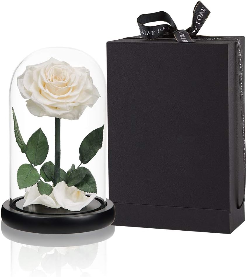 Preserved Roses White Roses Handmade in Glass Dome for Gifts
