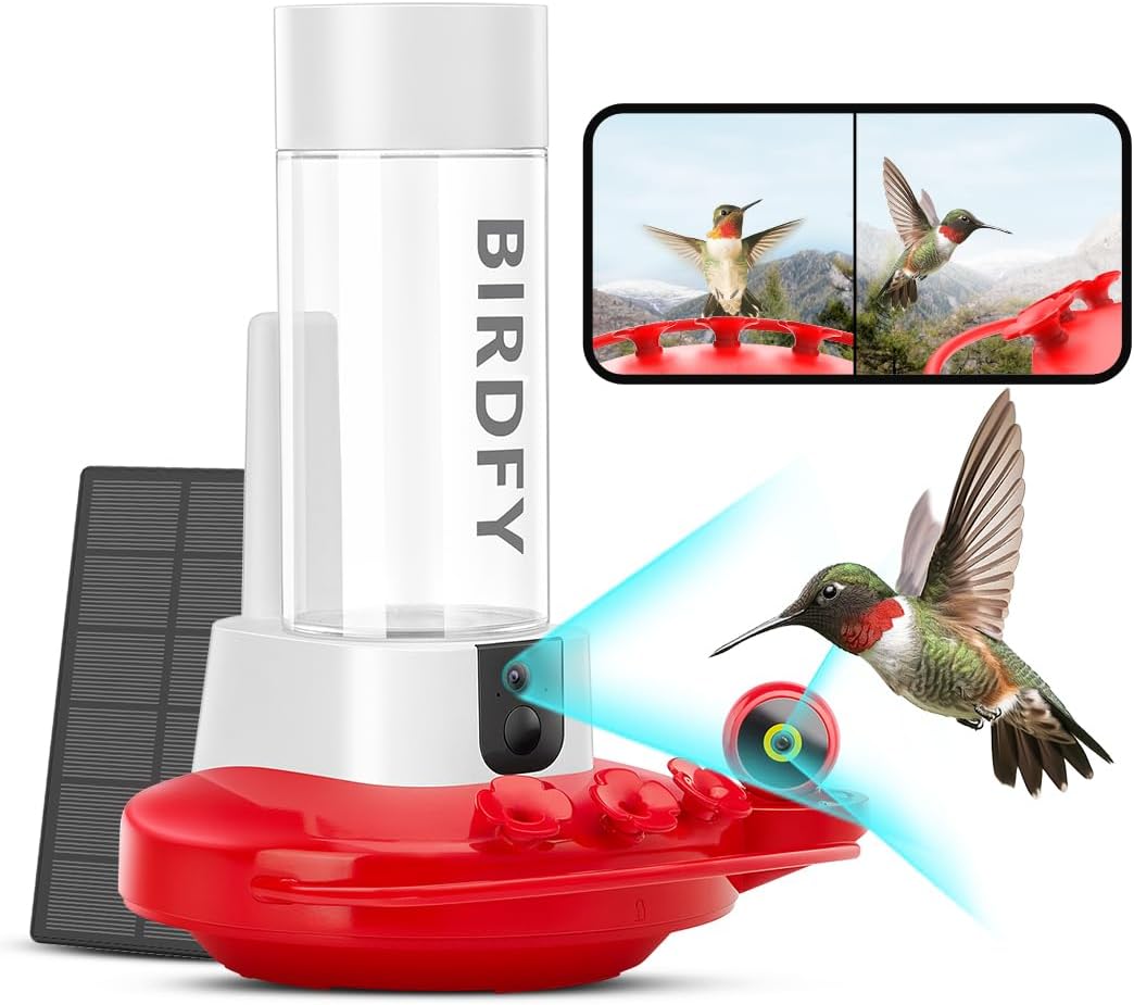 2K Dual Cam Hummingbird Feeder - Solar Powered