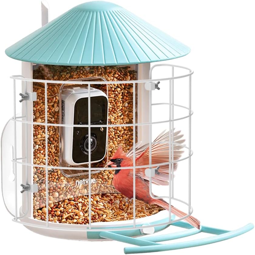 NETVUE Birdfy Shield: Protect Birds & Feed with Ease