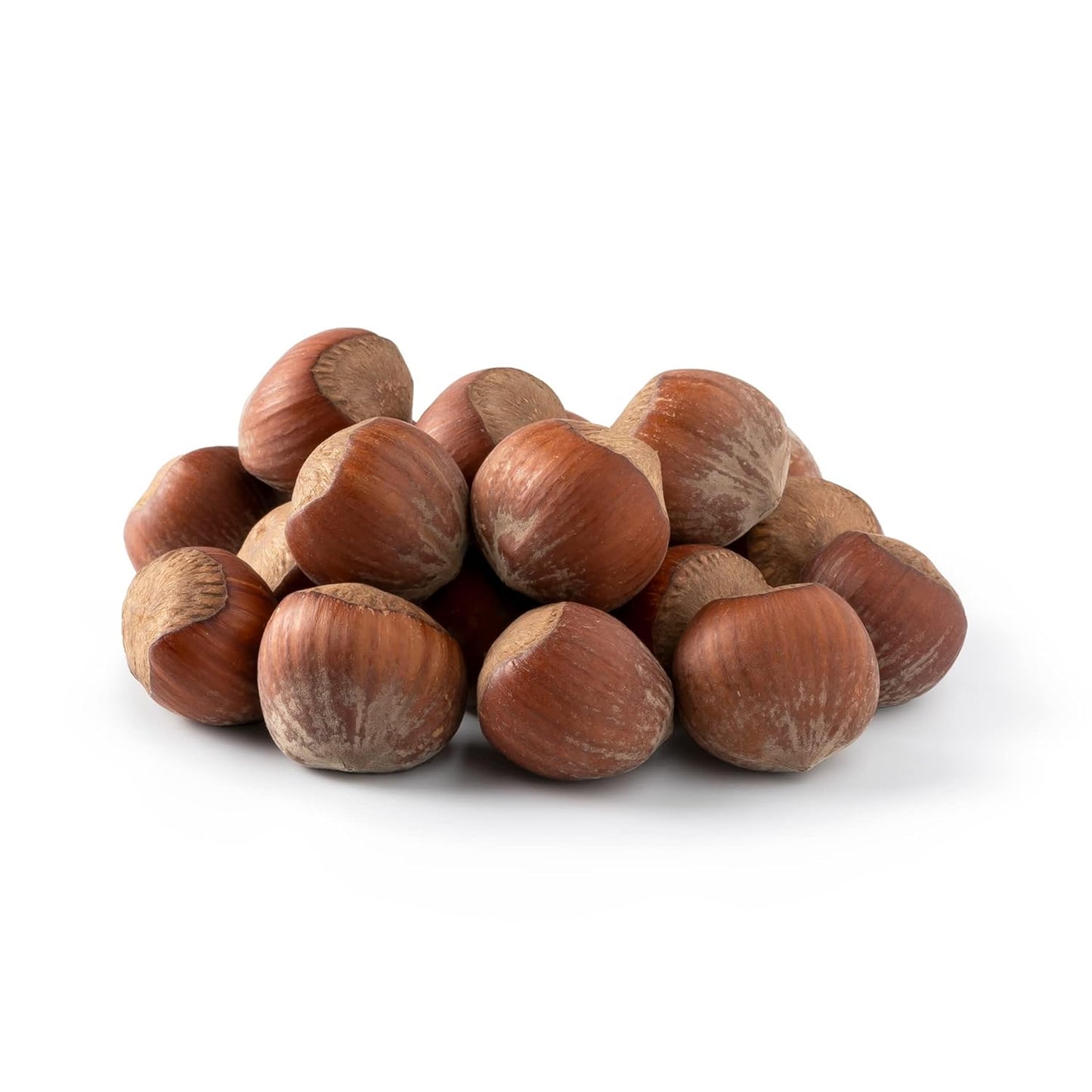 Oregon Hazelnuts In Shell - Whole, Raw, Unsalted and Fresh