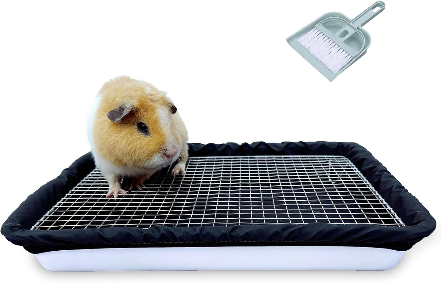 Guinea Pigs Litter Box with Stainless Steel Grid for Small Pets