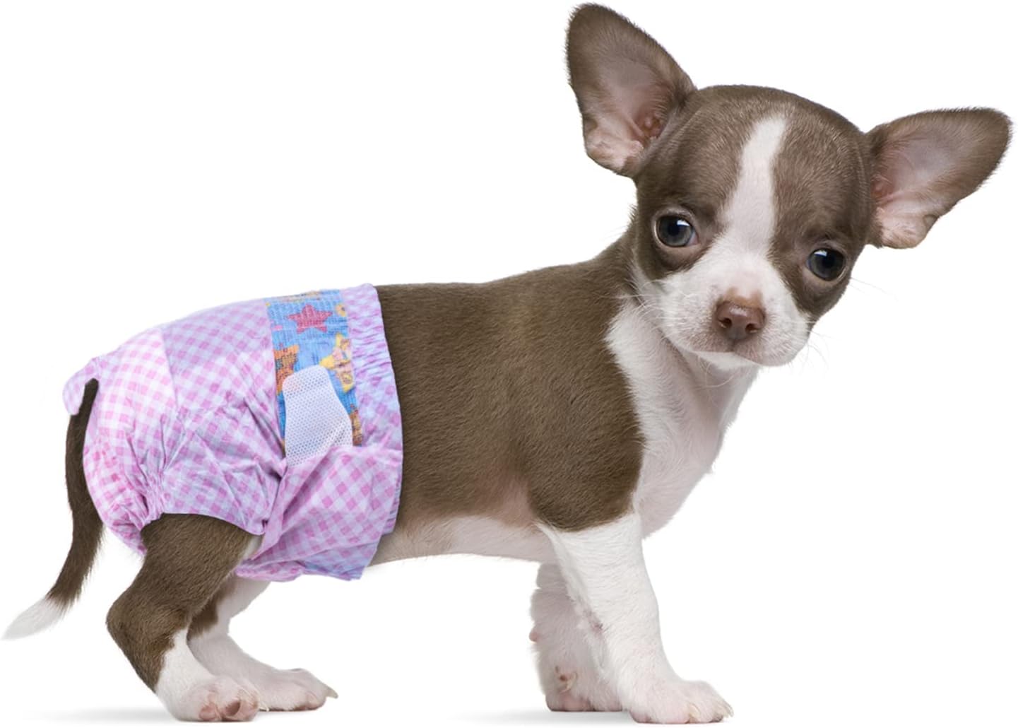 Adjustable Disposable Puppy Diapers w/ Wetness Indicator - Flying Paws