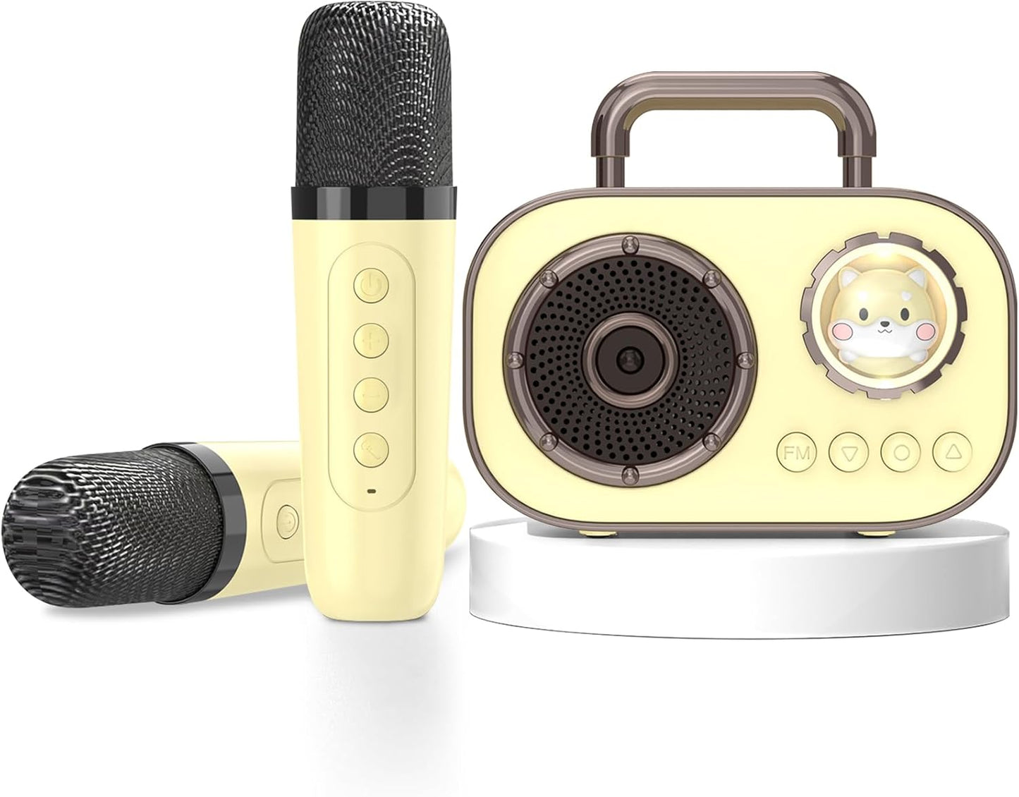 Karaoke Fun for All Ages - Wireless Mic, Stereo Sound, Rich Bass