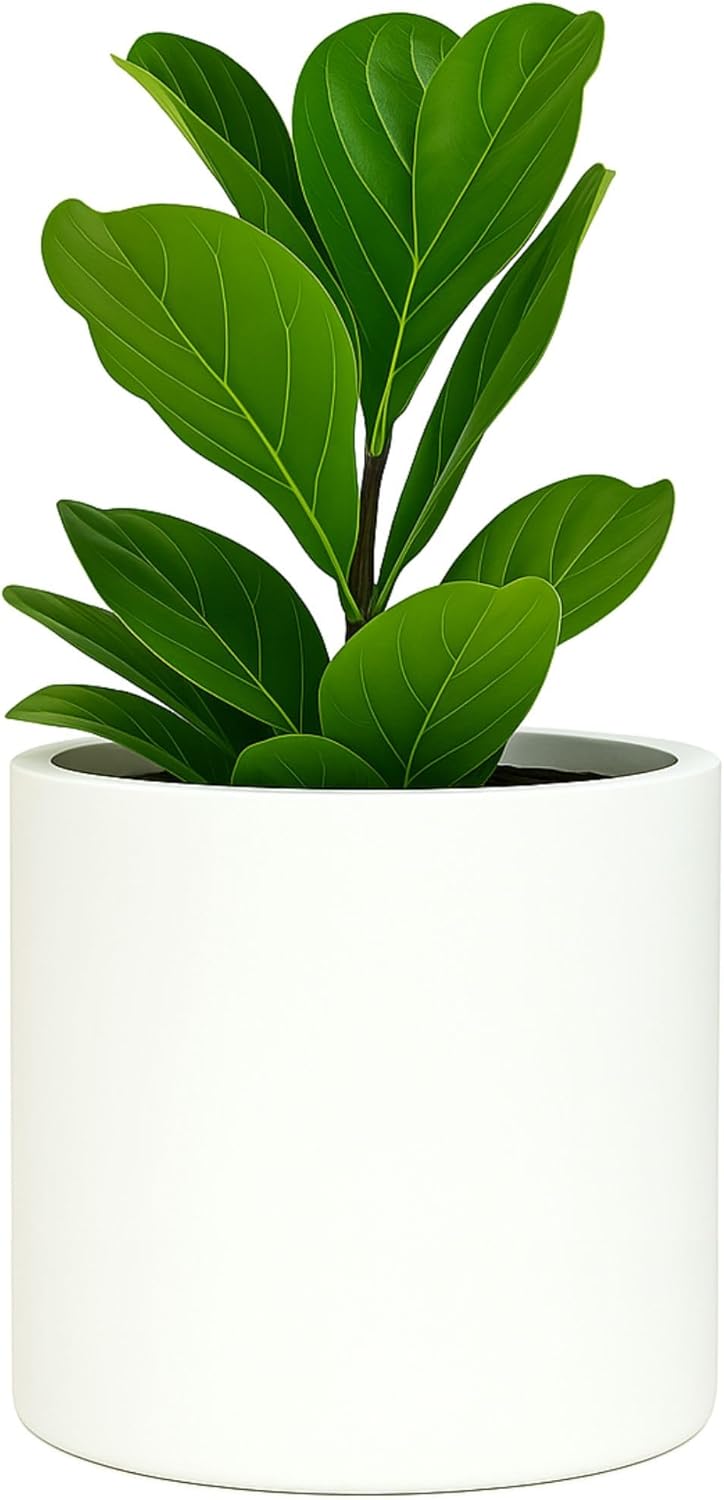 Fox & Fern Large 12 Inch Plant Pot with Hidden Saucer Review