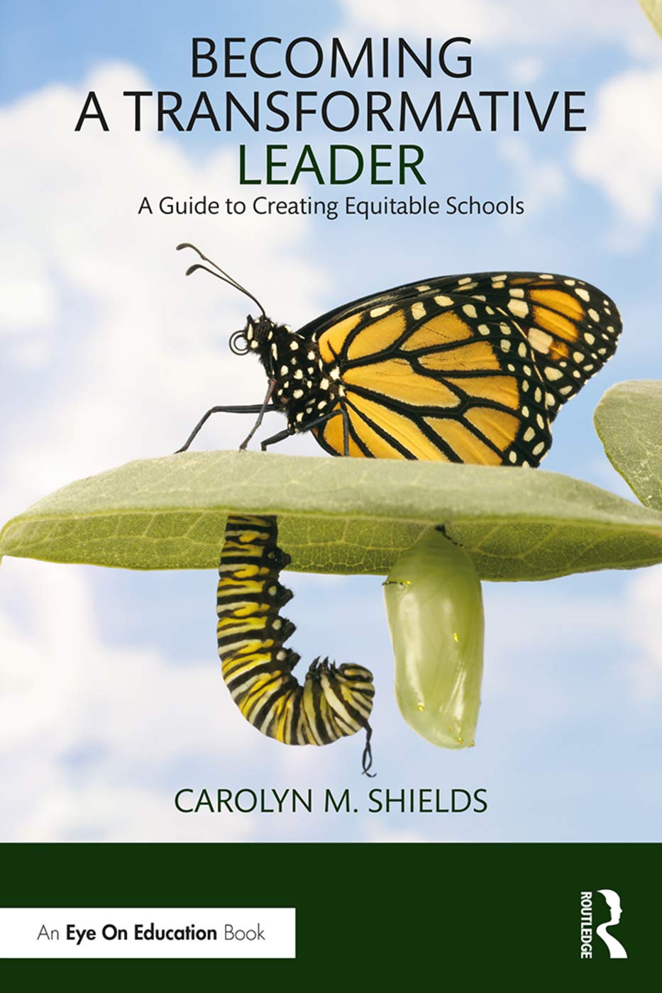 Becoming a Transformative Leader: A Guide to Effective Leadership