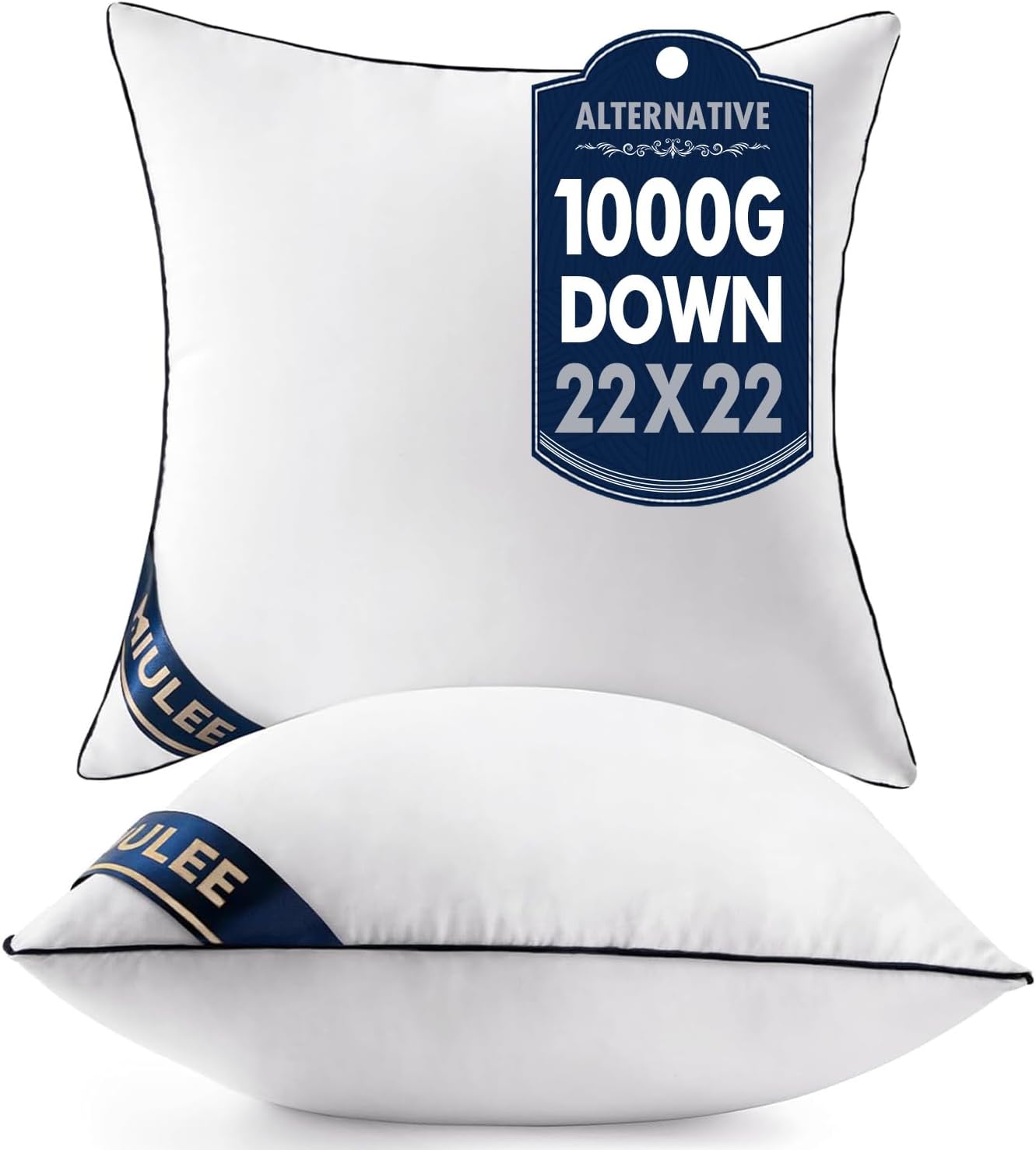 Premium 22x22 Pillow Inserts Set of 2 for Cozy Comfort