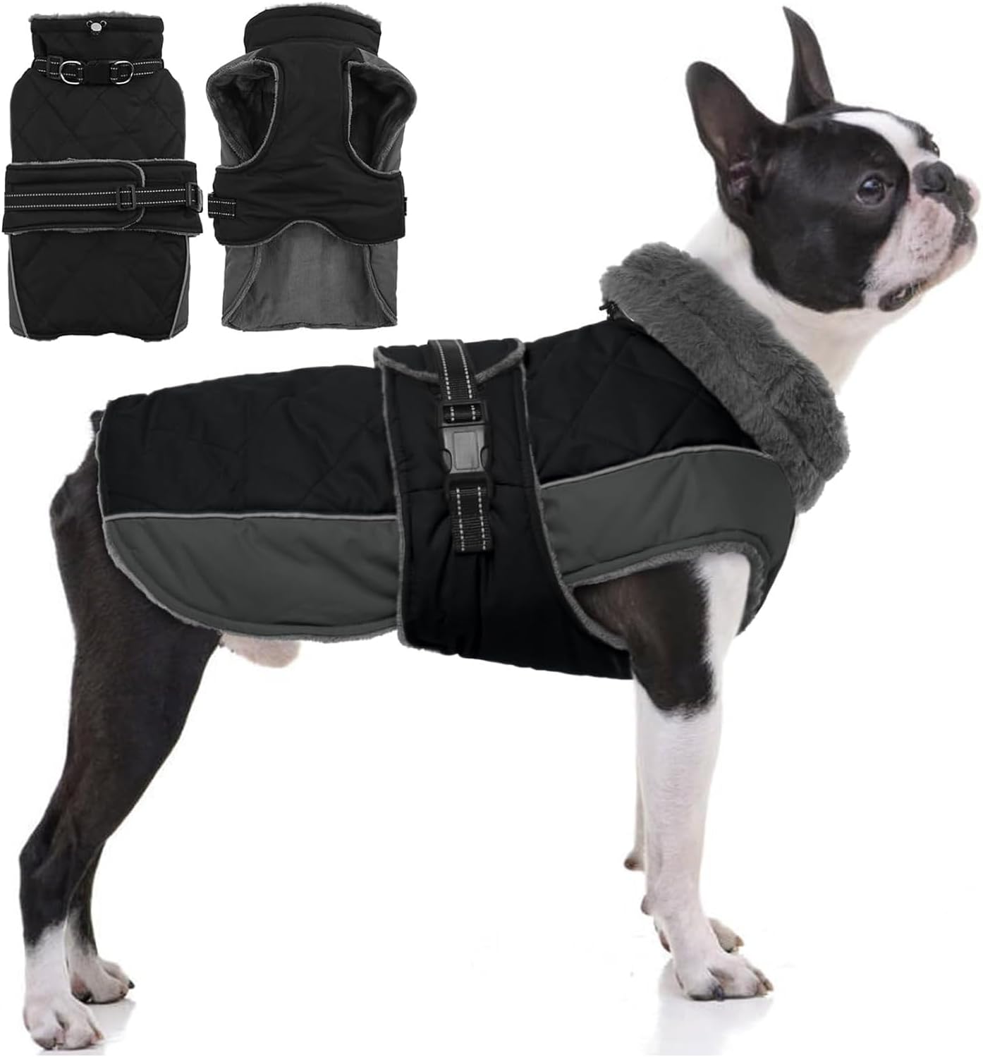 QBLEEV Warm Dog Jacket - Reflective Waterproof Coat for Dogs