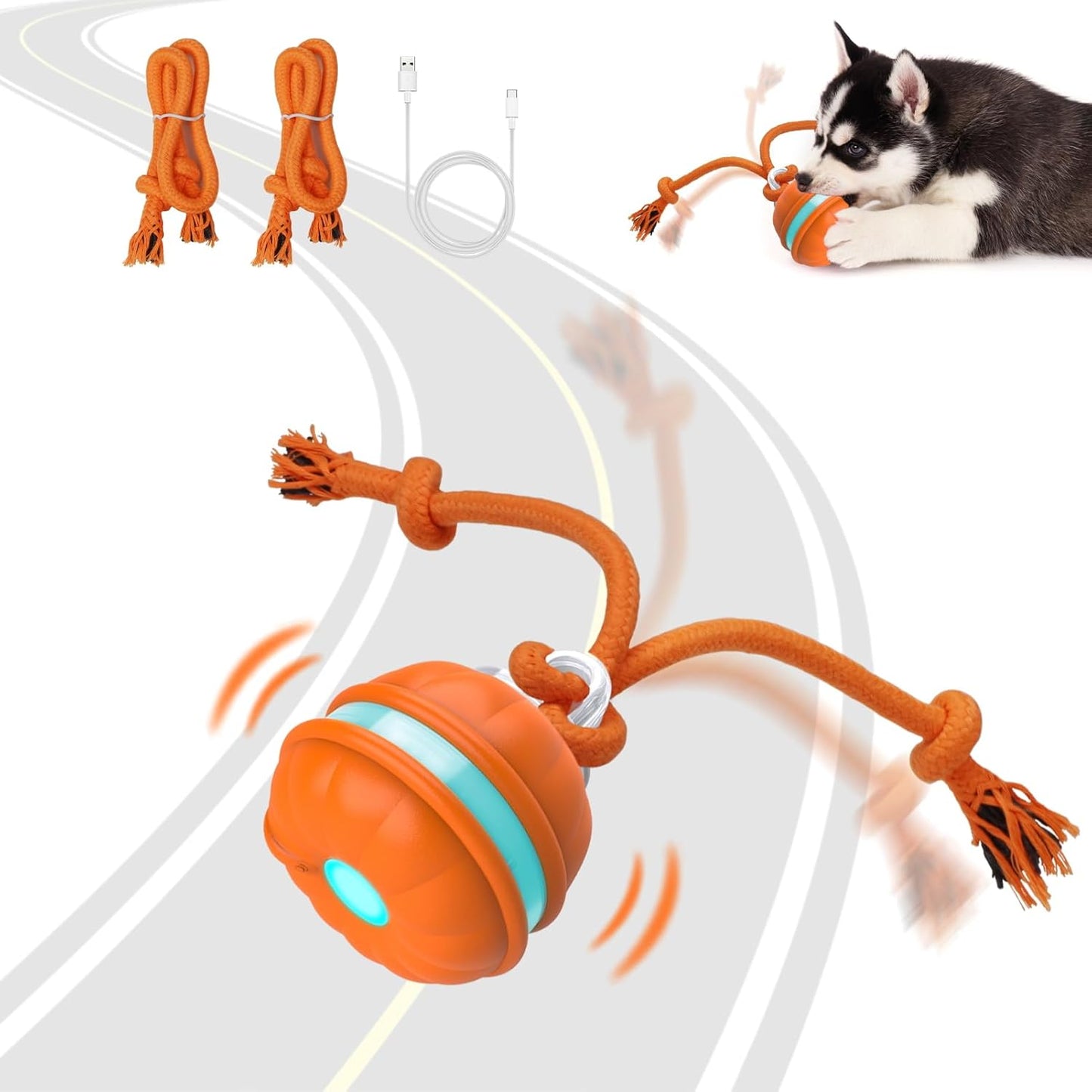 Motion-Activated Rolling Dog Ball for Interactive Fun!