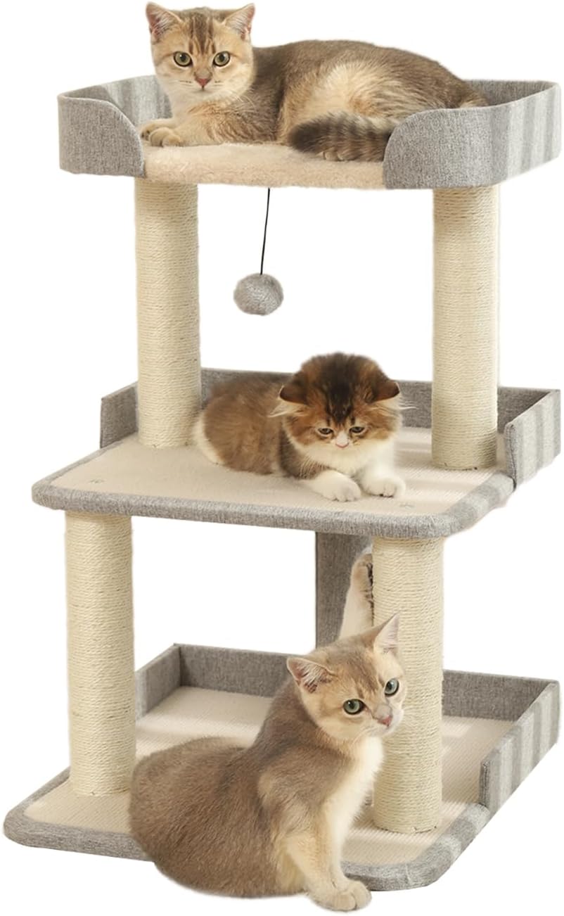 Durable Cat Scratching Post with Bed for Large Cats and Kittens