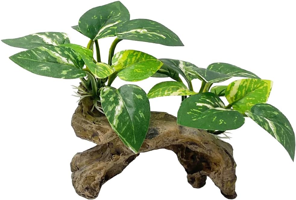 Silk Leaf Hammock for Betta Fish Tanks