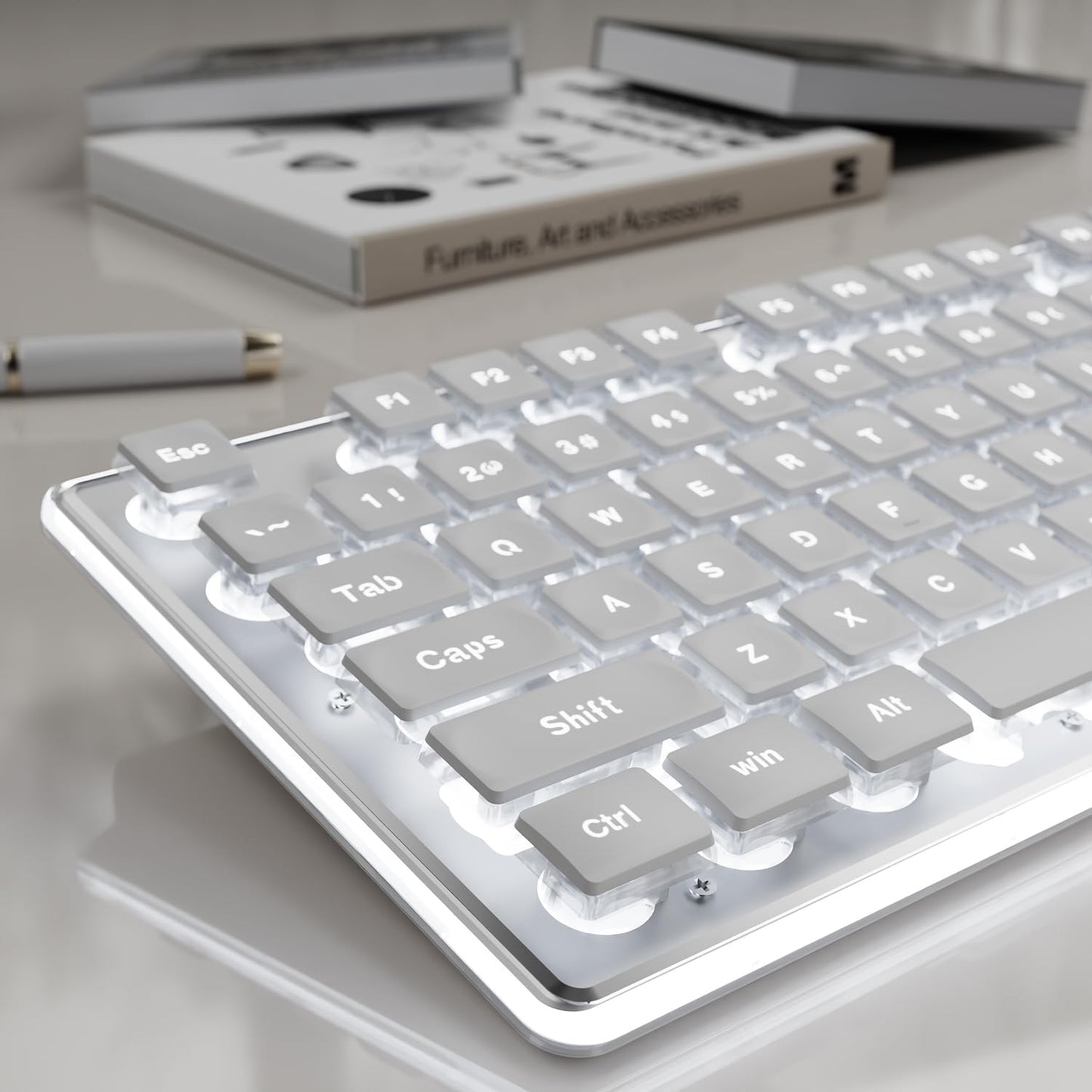 EWEADN GX710S Backlit Computer Keyboard with White Light