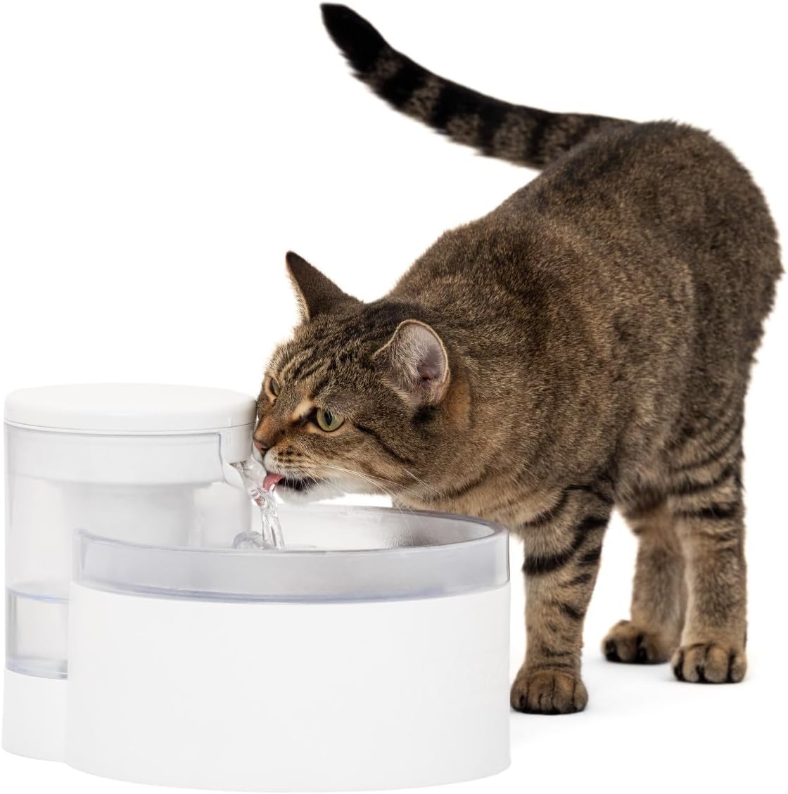 PetSafe Outlast Pumpless Cat Water Fountain for Hydration