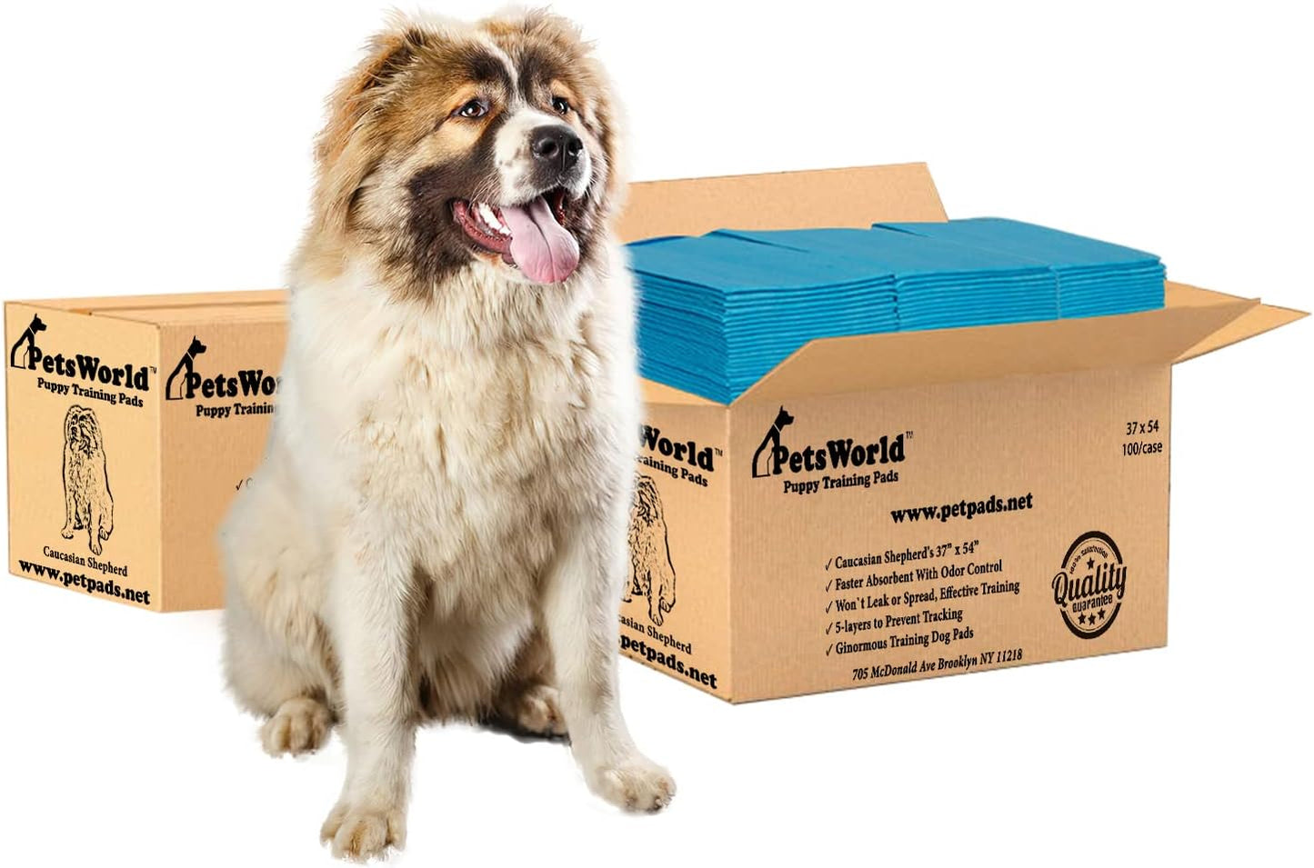 PETSWORLD Enormous Dog Training & Potty Pads for All Pets