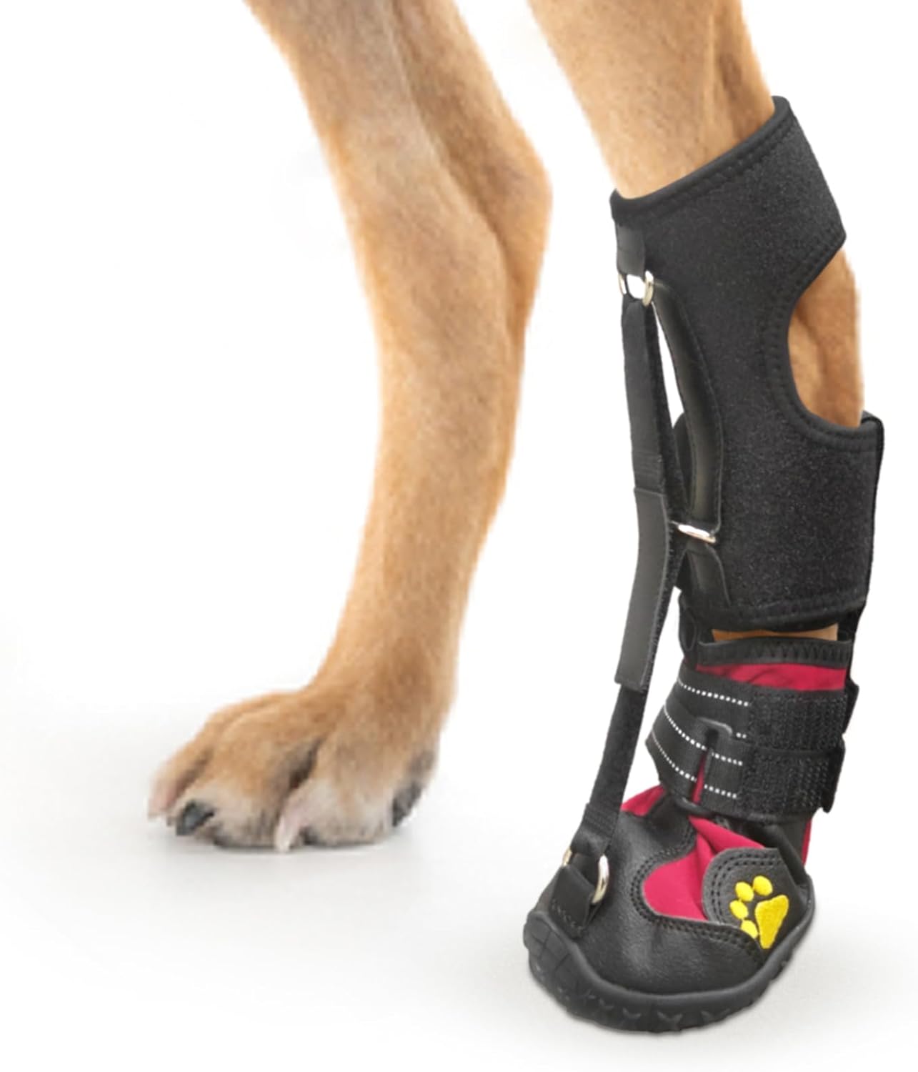 Strap-On Drop Foot Brace for Dogs - Supportive Dog Shoes