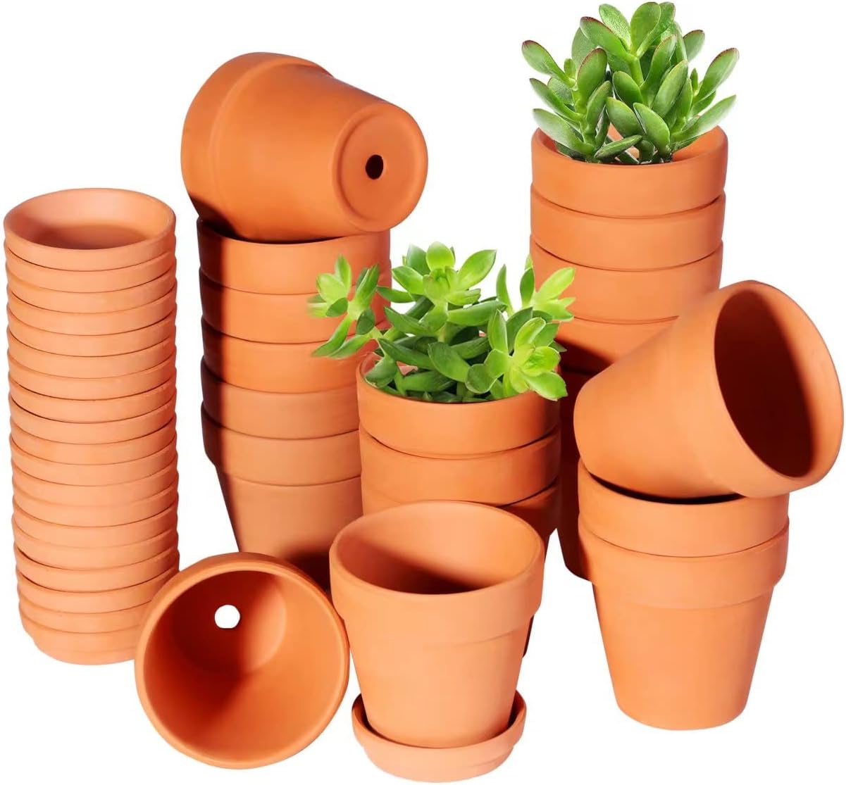3 Inch Terracotta Pots with Saucer - Perfect for Succulents
