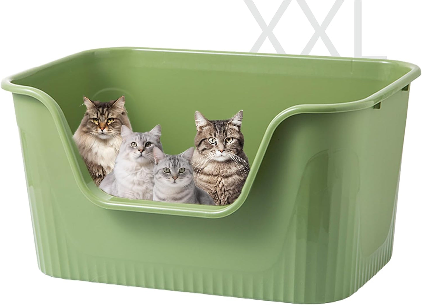 Extra Large Cat Litter Box for Big Cats or Multiple Cats