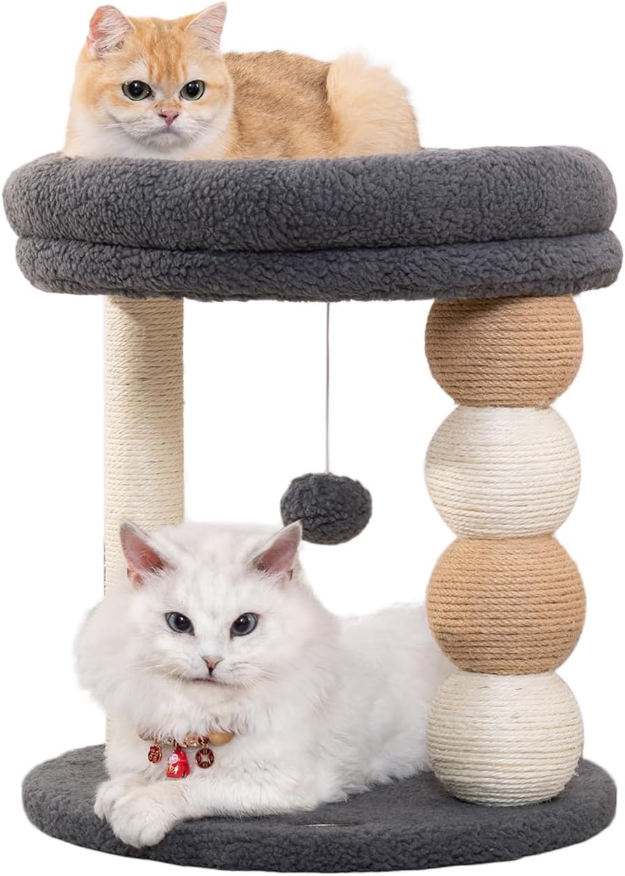 Small Cat Tree for Indoor Cats with Cozy Plush Top Perch