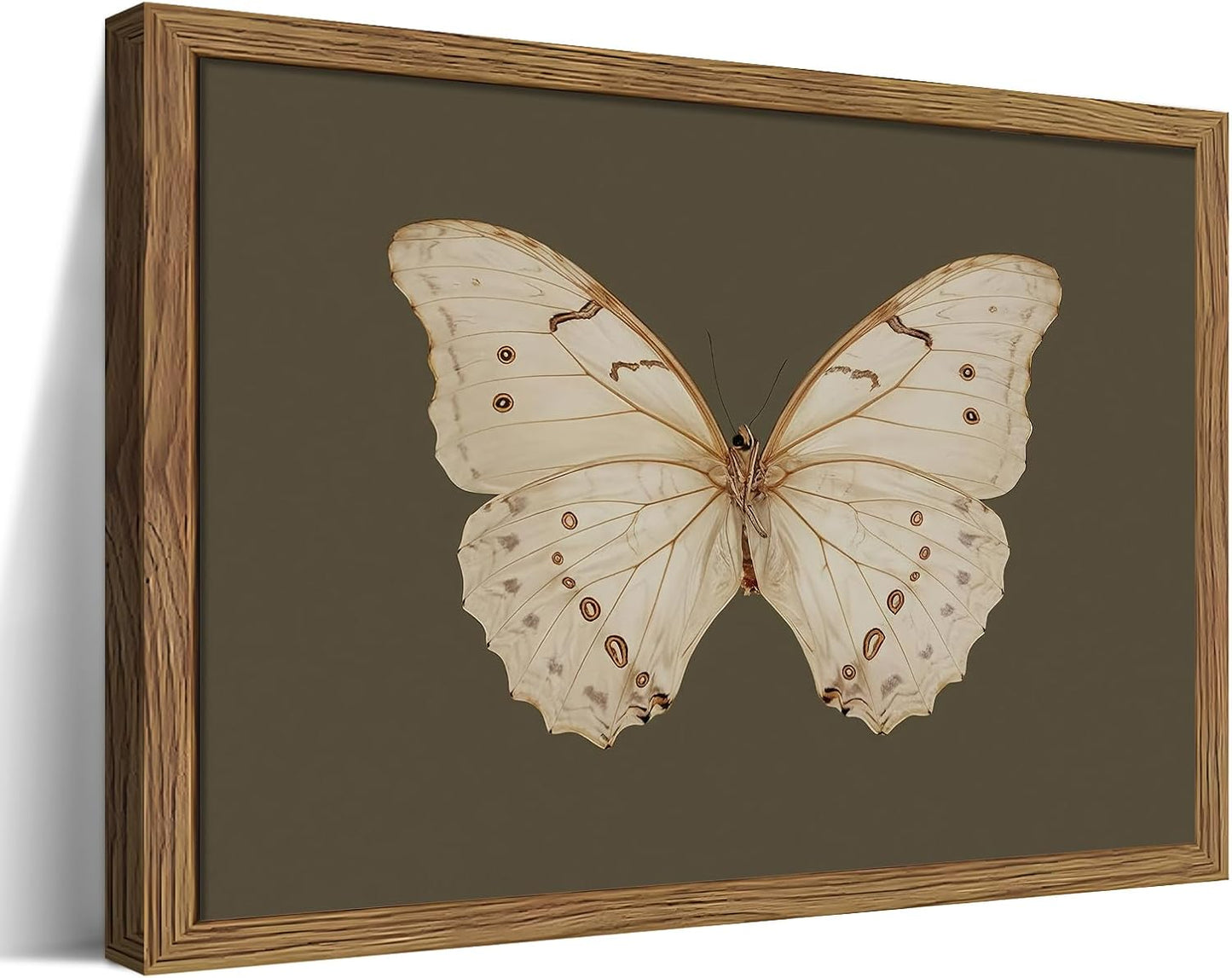 Vintage Butterfly Framed Wall Art for Elegant Home Decor