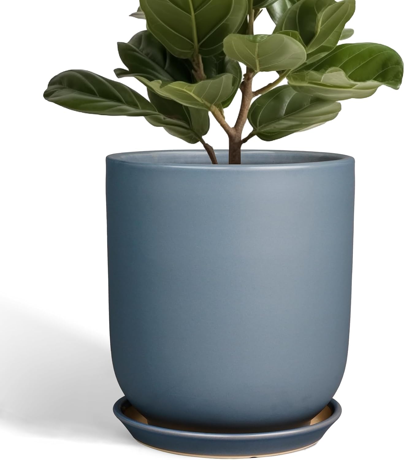 10 Inch Ceramic Plant Pot for Indoor and Outdoor Use