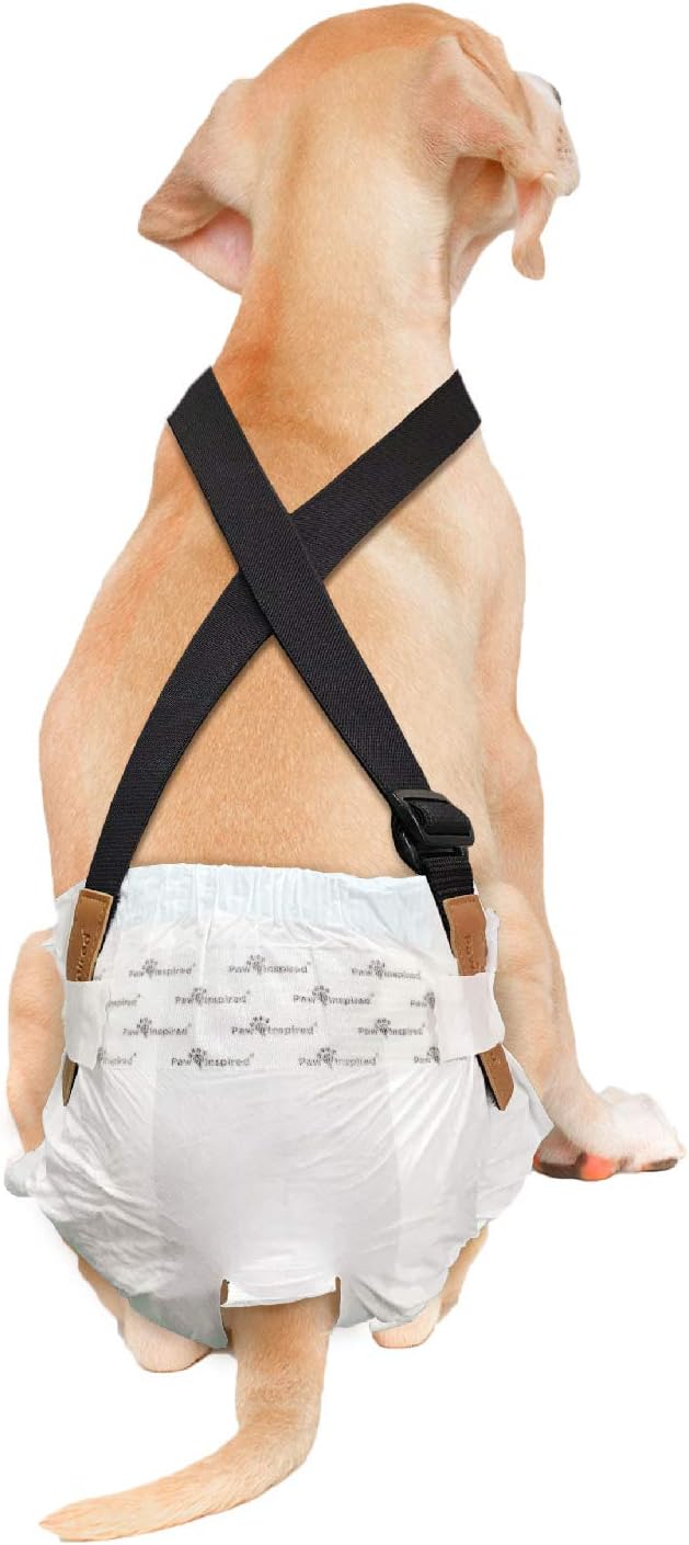 Paw Inspired Dog Diaper Suspenders | Adjustable Fit for All Sizes
