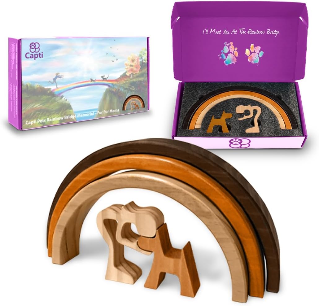 Capti Rainbow Bridge Dog Memorial Gifts for Pet Loss Sympathy