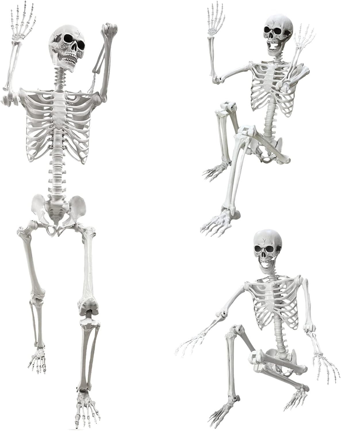 Wocst 5.4Ft Life Size Human Skeleton for Halloween Decorations