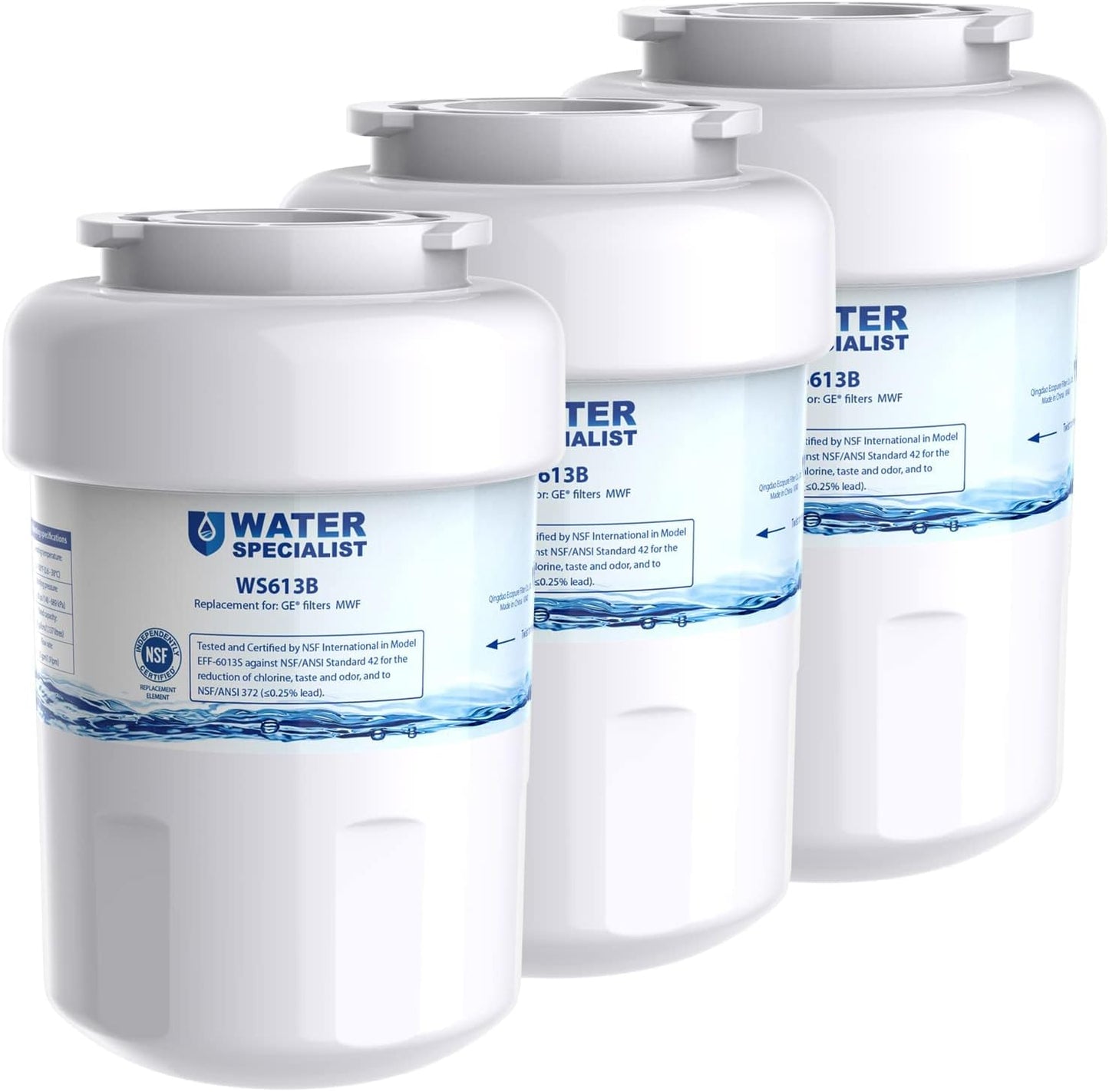 Waterspecialist WS613B Replacement Water Filter for GE Models