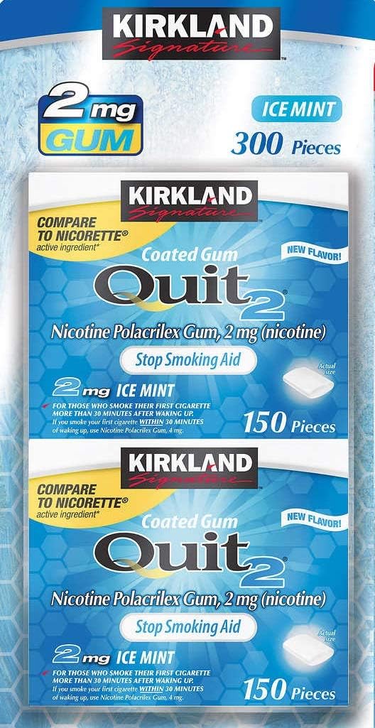 Kirkland Signature Quit Ice Mint Gum 2mg for Smoking Cessation