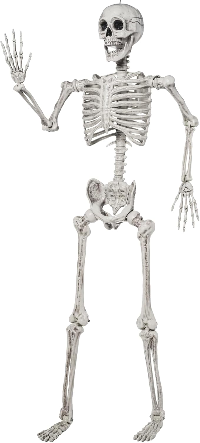 5.6 FT Halloween Posable Life Size Skeleton for Spooky Decor