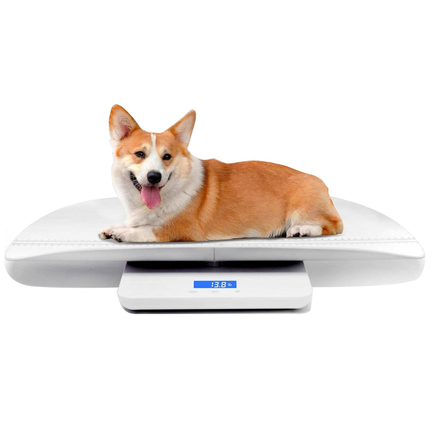 Digital Pet Scale for Infants and Pets with Precision Features