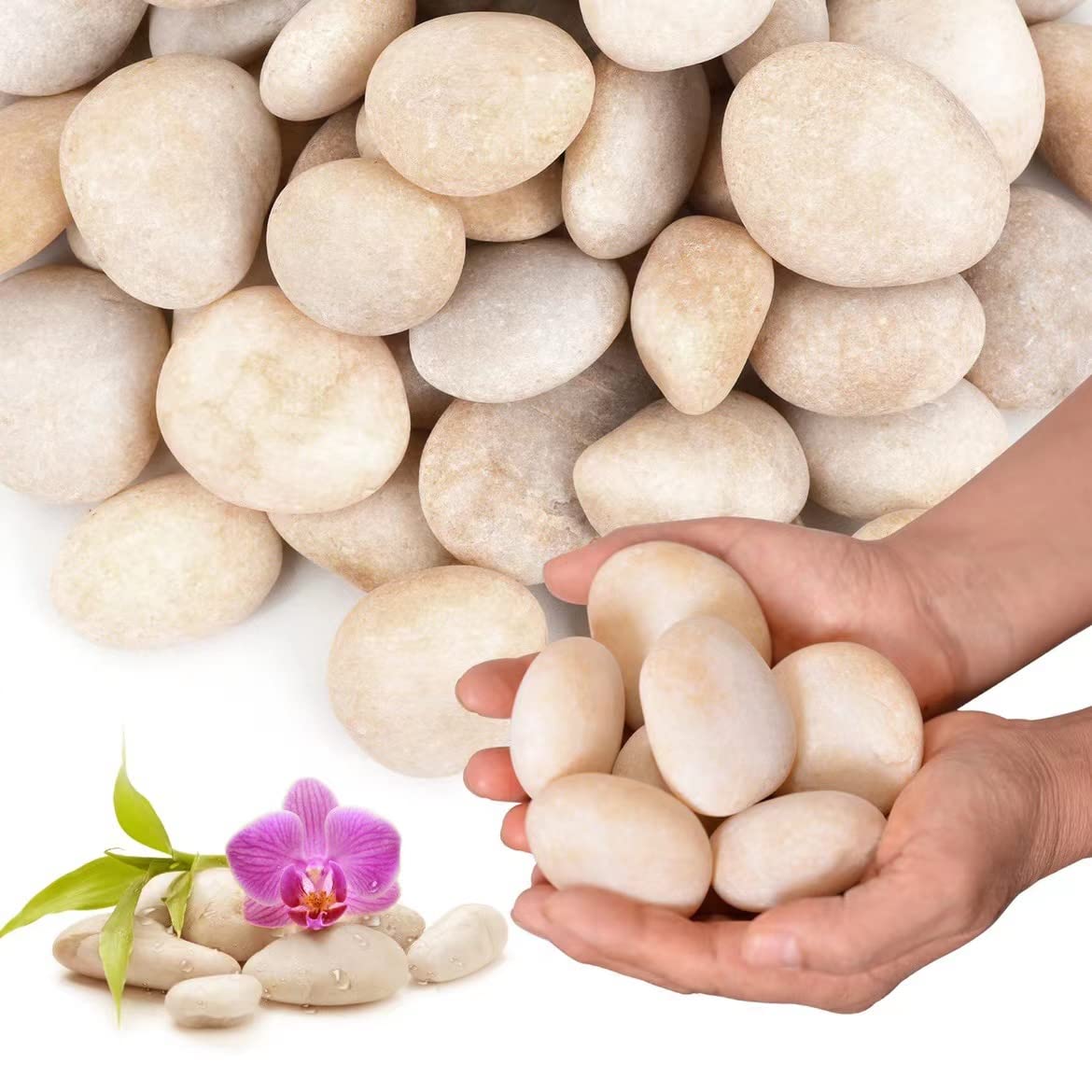 20lb Cream White River Rocks for Outdoor Landscaping and Decor