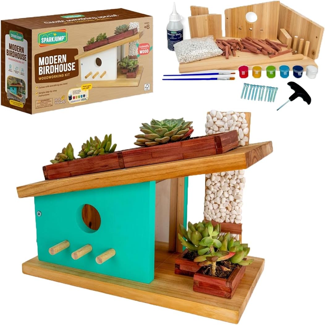 SparkJump Modern Birdhouse Woodworking Kit for Creative Fun