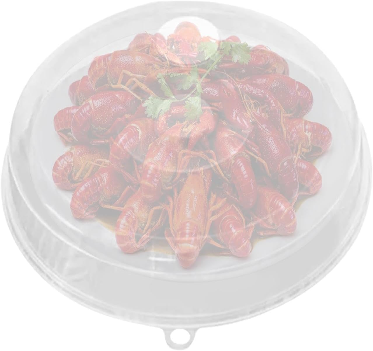 Anti-Splatter Microwave Guard