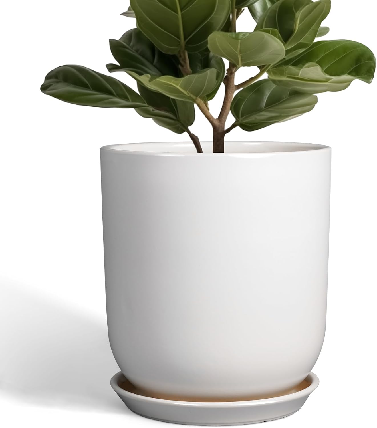 10 Inch Ceramic Plant Pot with Drainage Hole for Indoor Outdoor