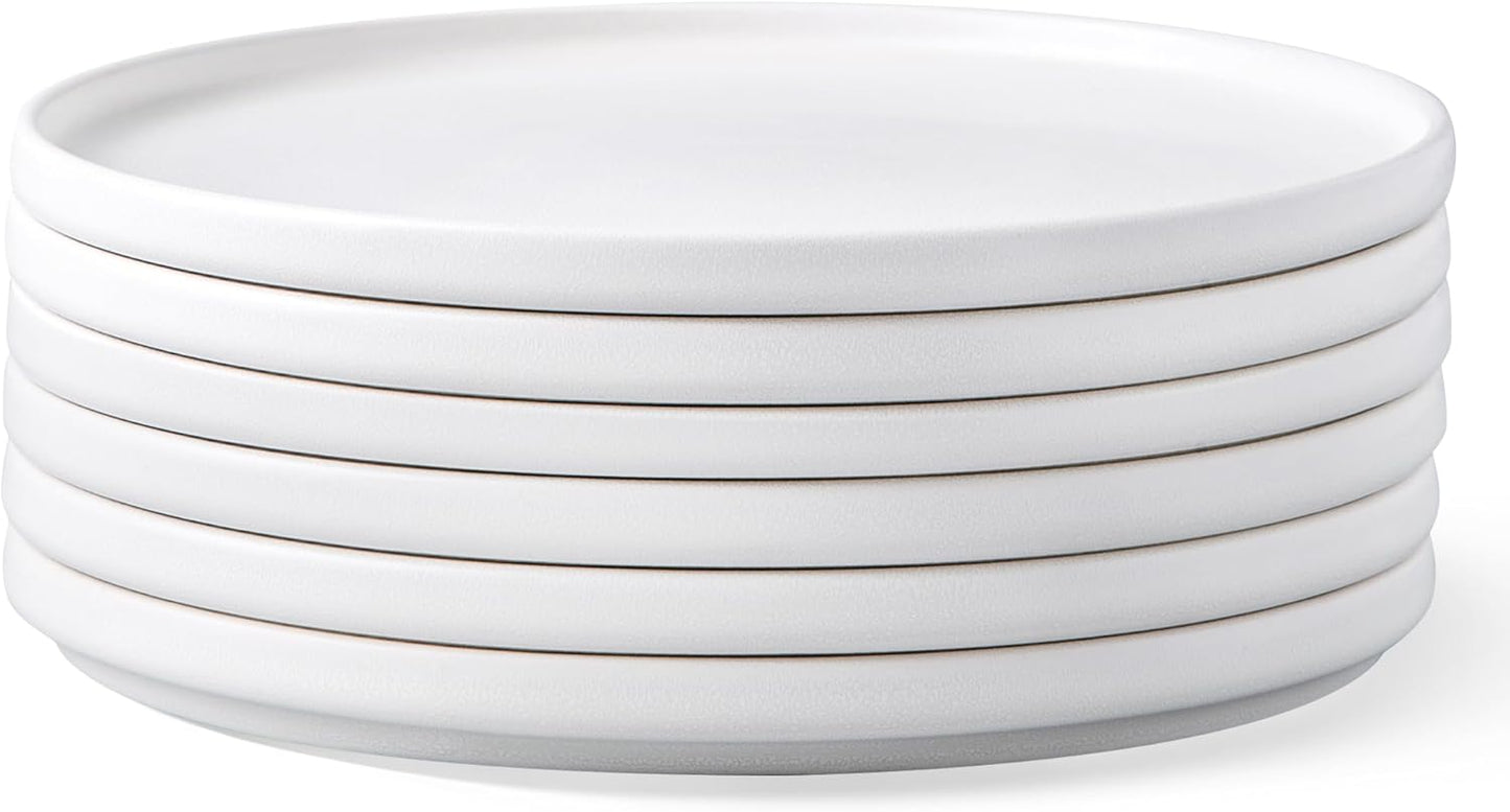 Unique Stoneware Dinner Plates Set of 6, 10.5 Inch Matte Glaze